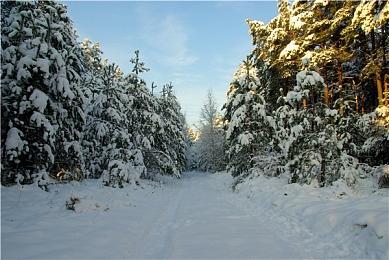 《绿色地狱VR》现已登陆了PSVR2